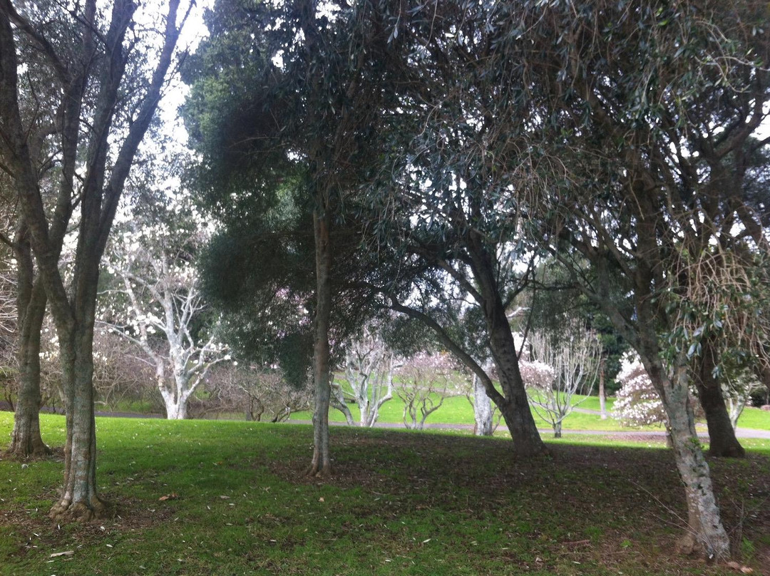 Yatton Park景点图片