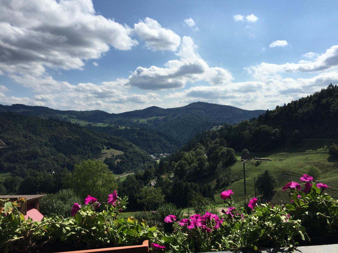 Gasthof Schluessel主图