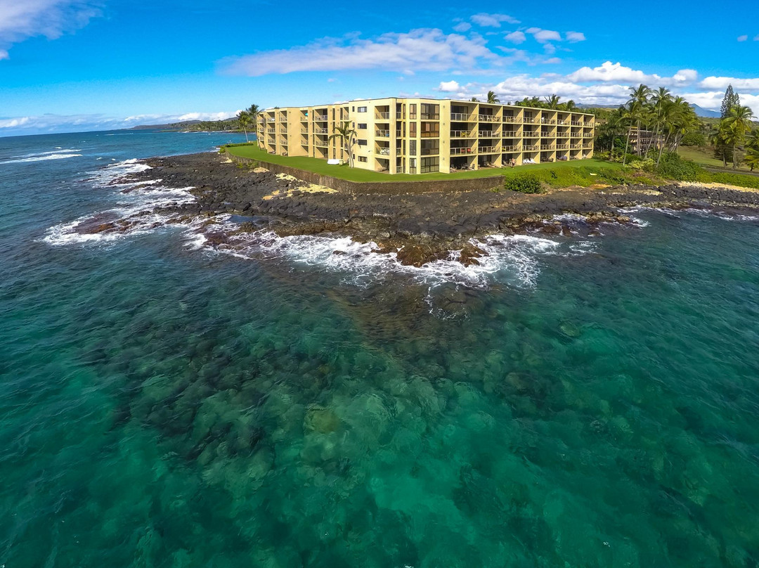 Kuhio Shores Oceanfront Condos
