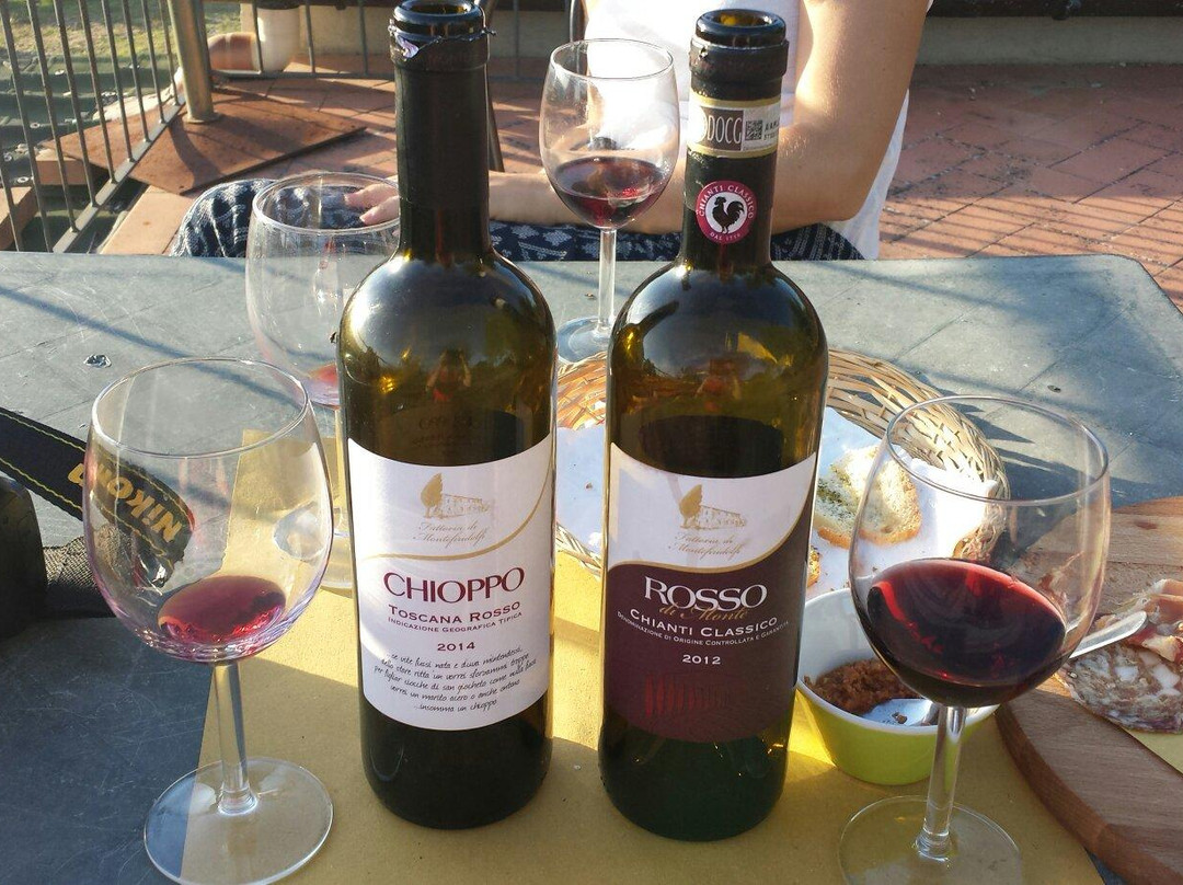 Fattoria di Montefiridolfi-Montefiridolfi必去景点