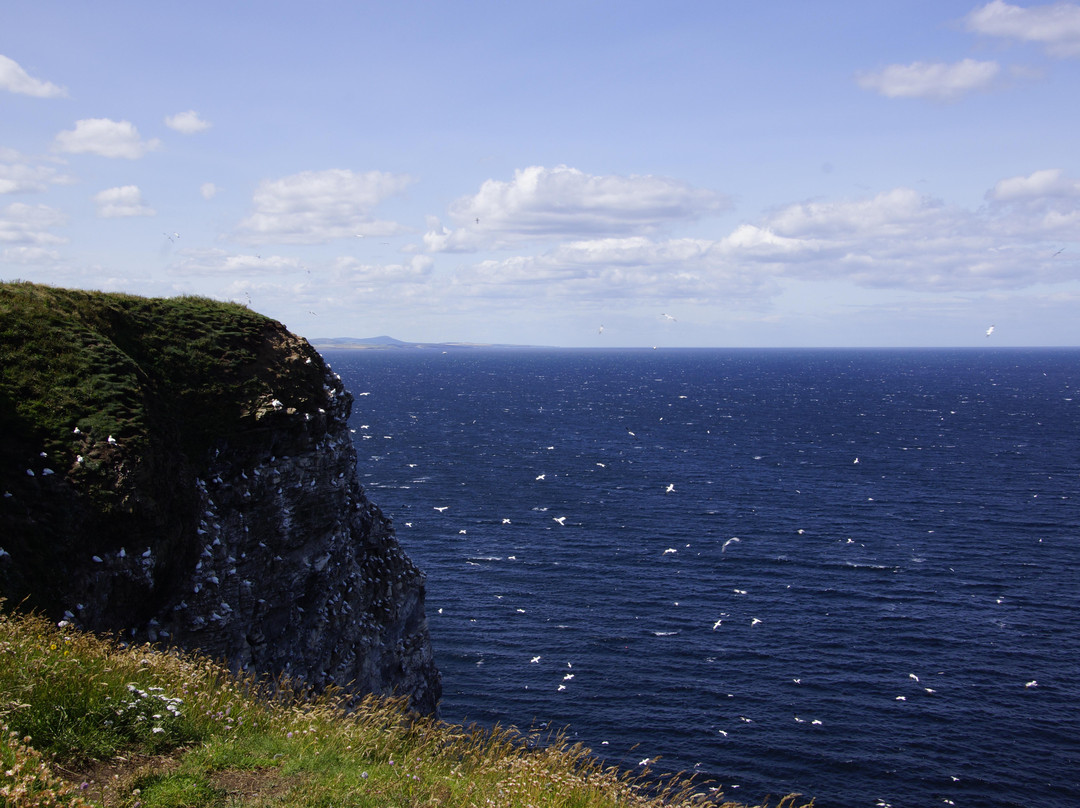 RSPB Troup Head Nature Reserve-Macduff必去景点