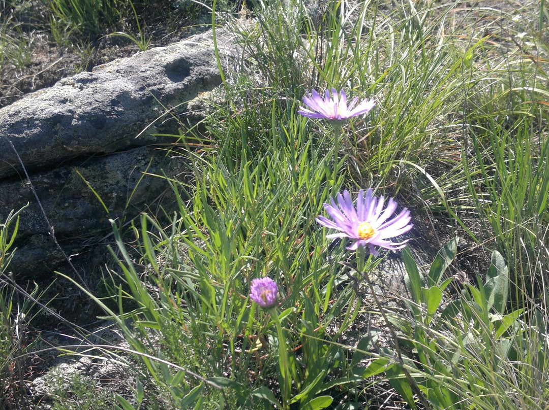 Konny Island-伊尔库茨克必去景点