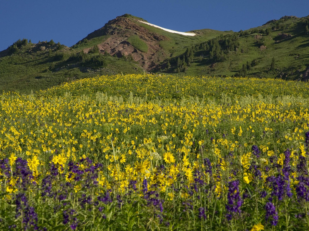 West Maroon Trail-阿斯蓬必去景点