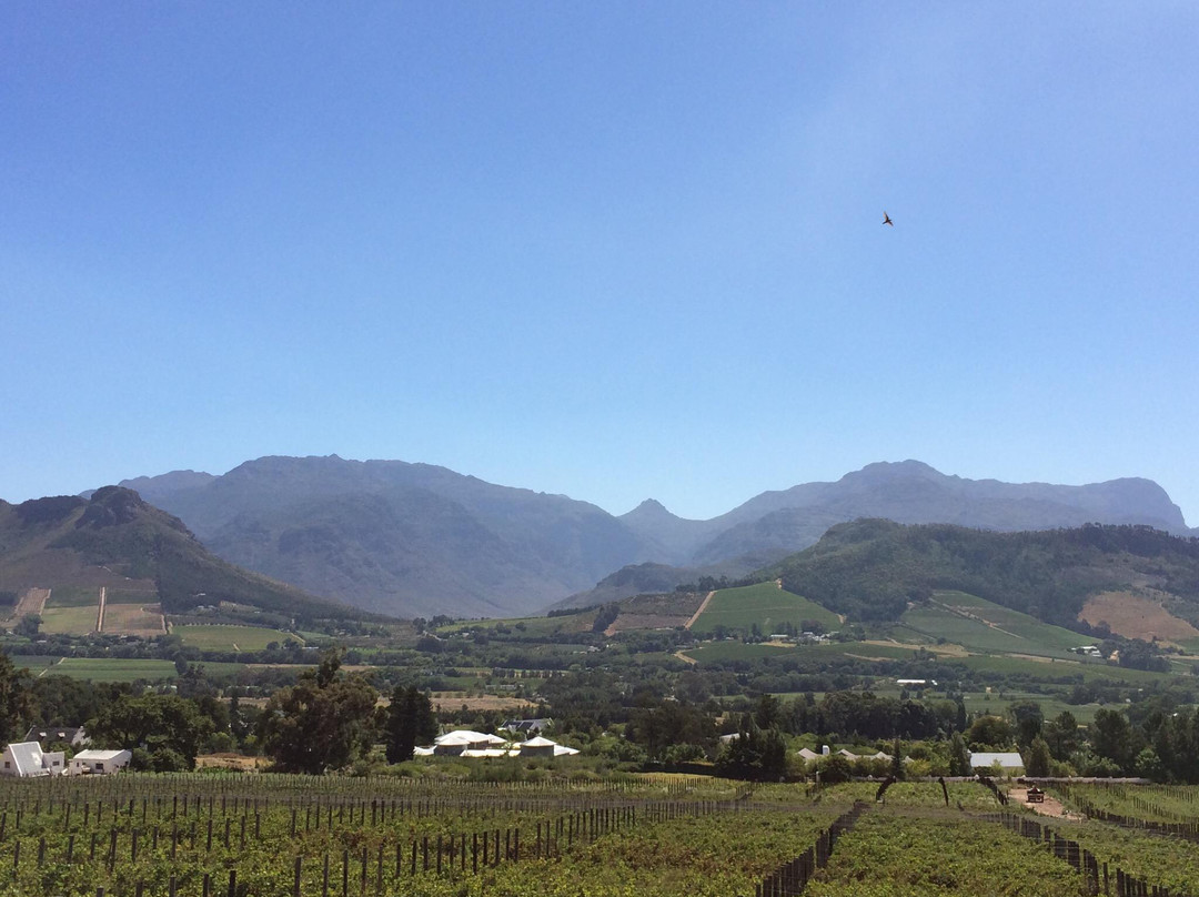 Haute Cabrière-法兰舒克必去景点