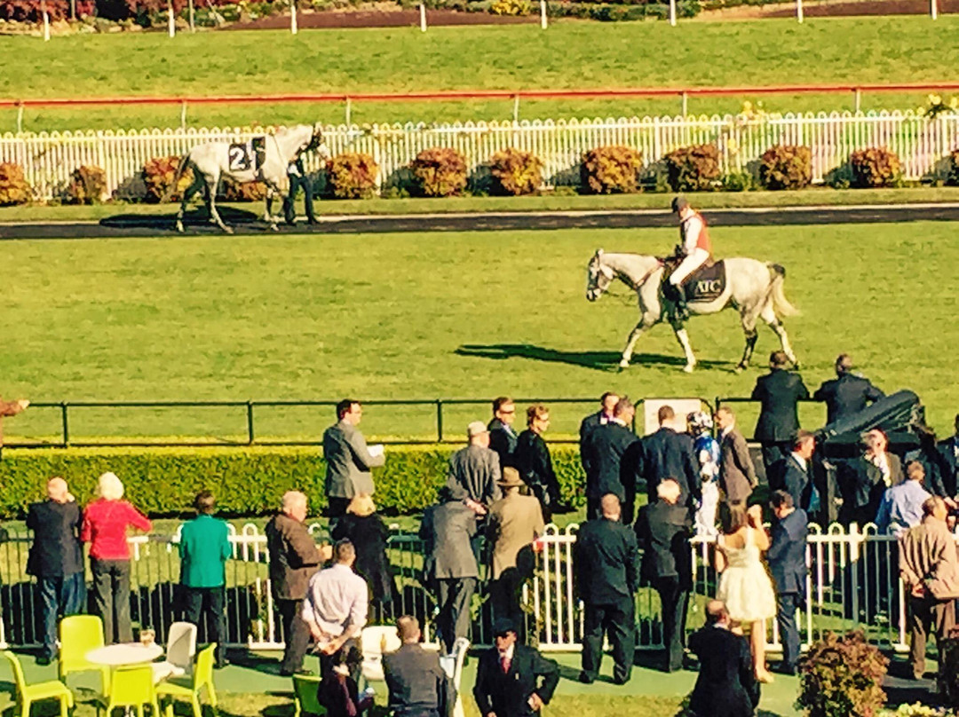 Canterbury Park Racecourse景点图片