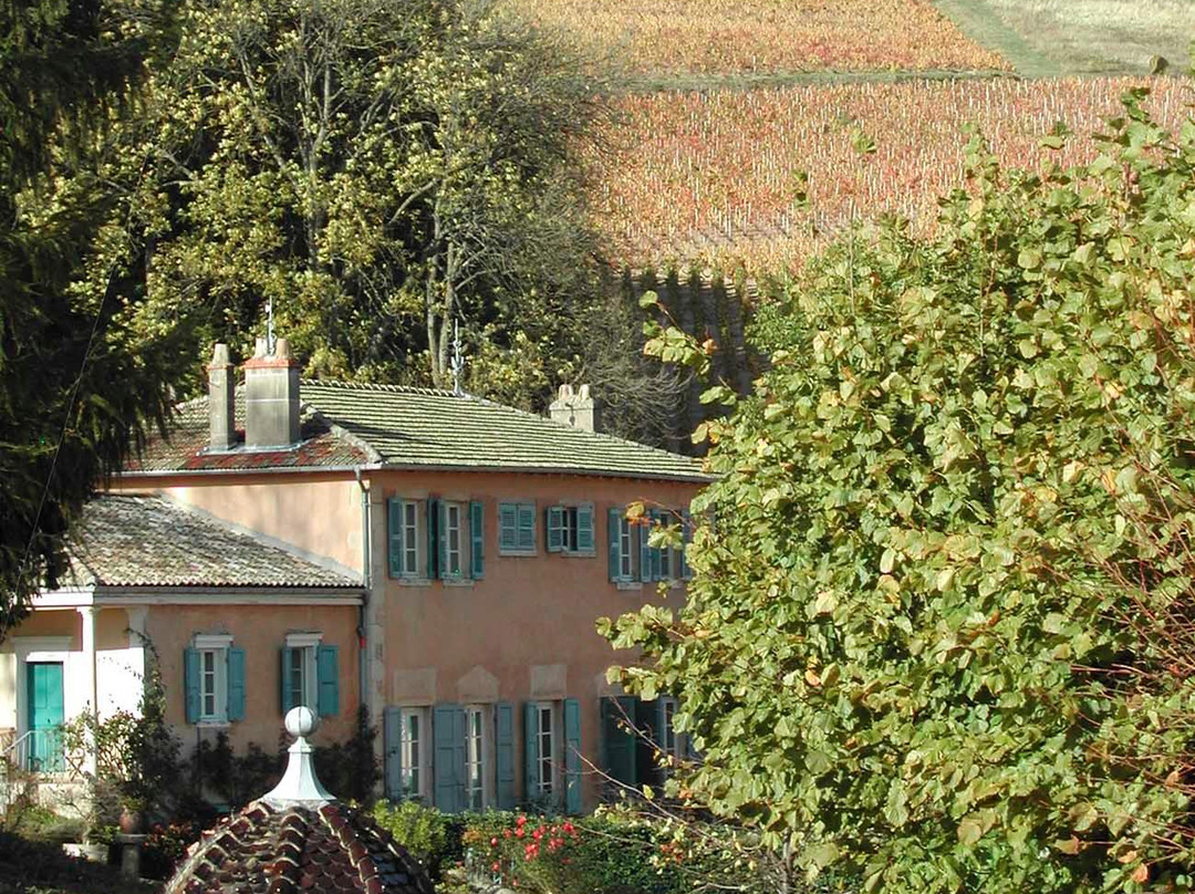 Chateau de Javernand景点图片