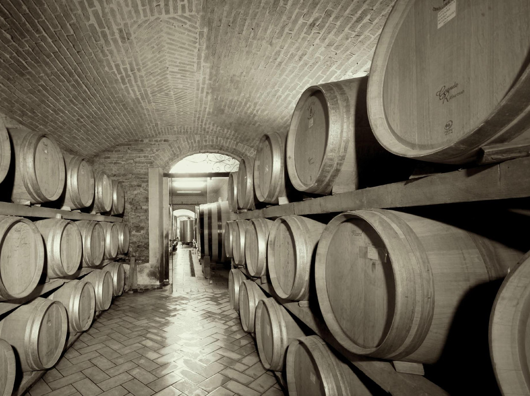 Azienda Agricola Cascina Ca' Rossa景点图片