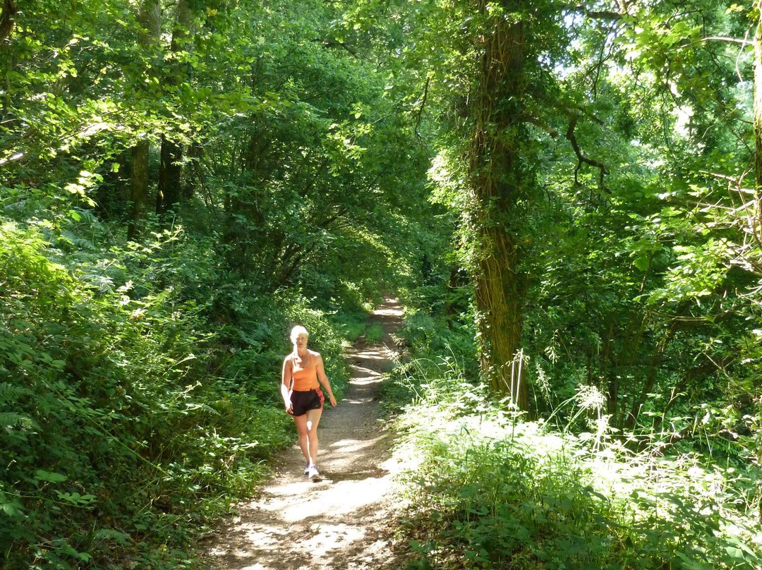 Dart River-得文郡必去景点