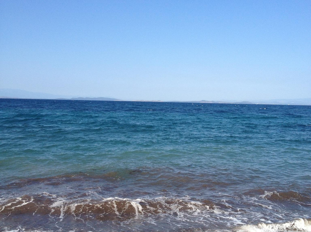 Kohilia Beach Bar景点图片
