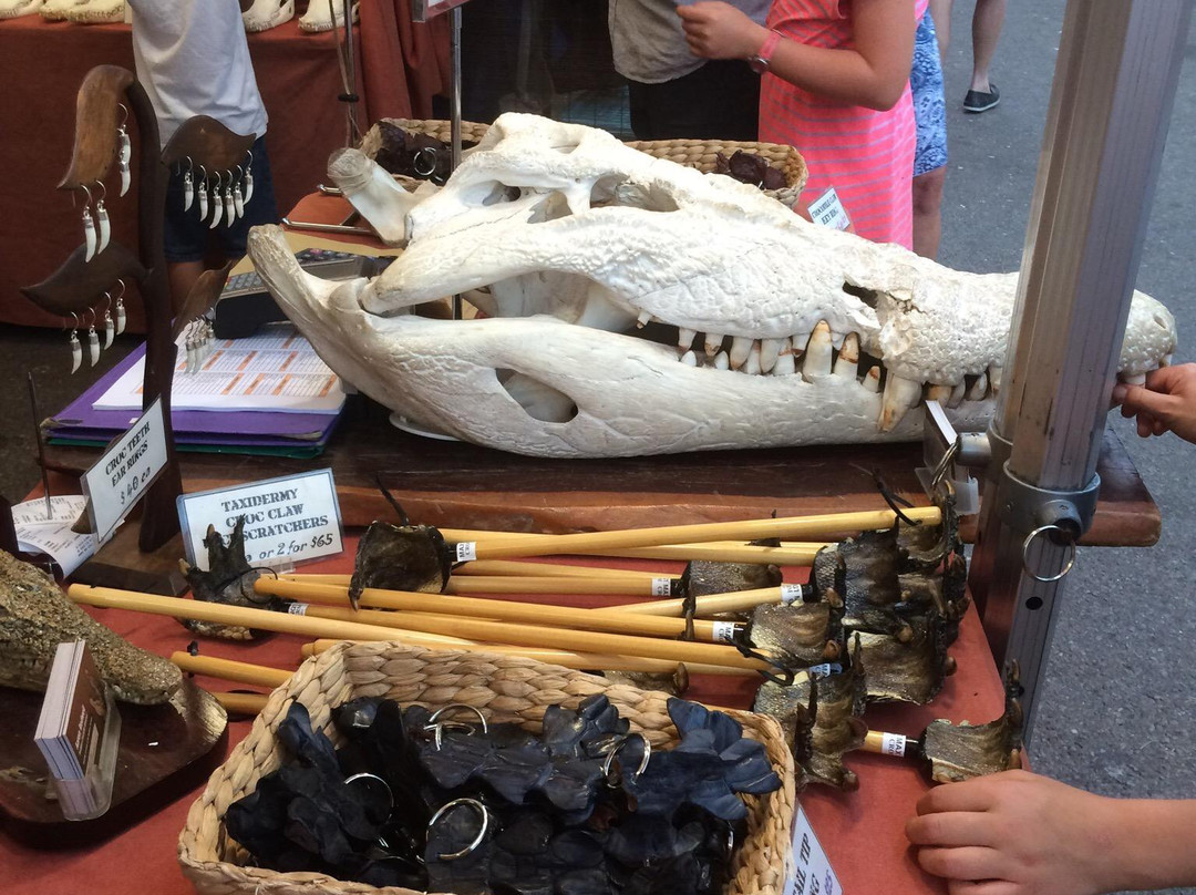 Mindil Beach Sunset Market-达尔文市必去景点