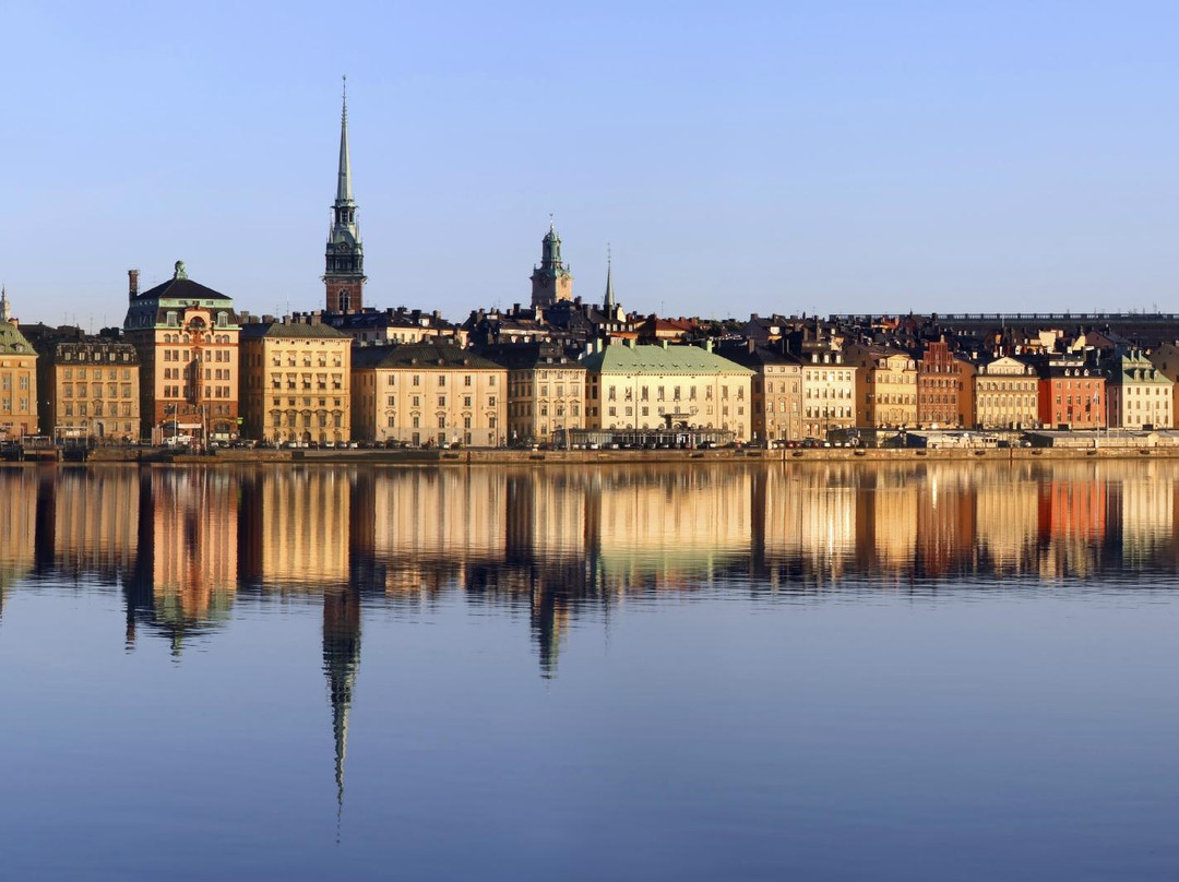 David's Stockholm Tours景点图片