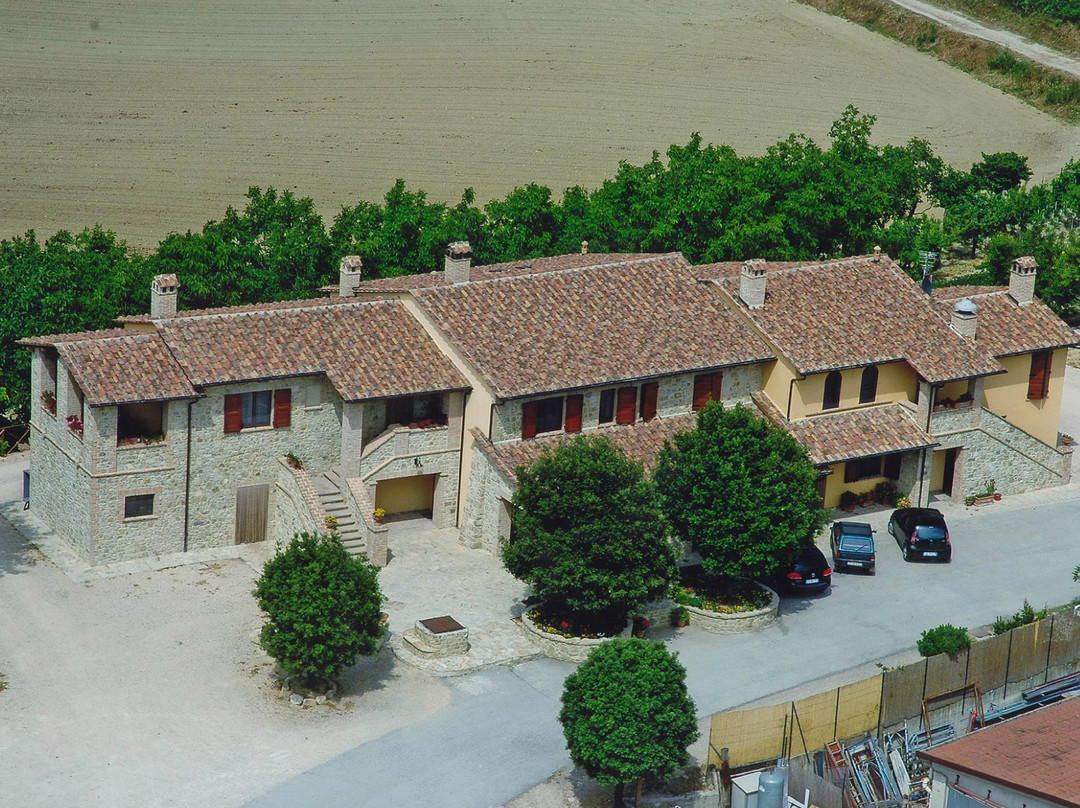 Fattoria Luchetti