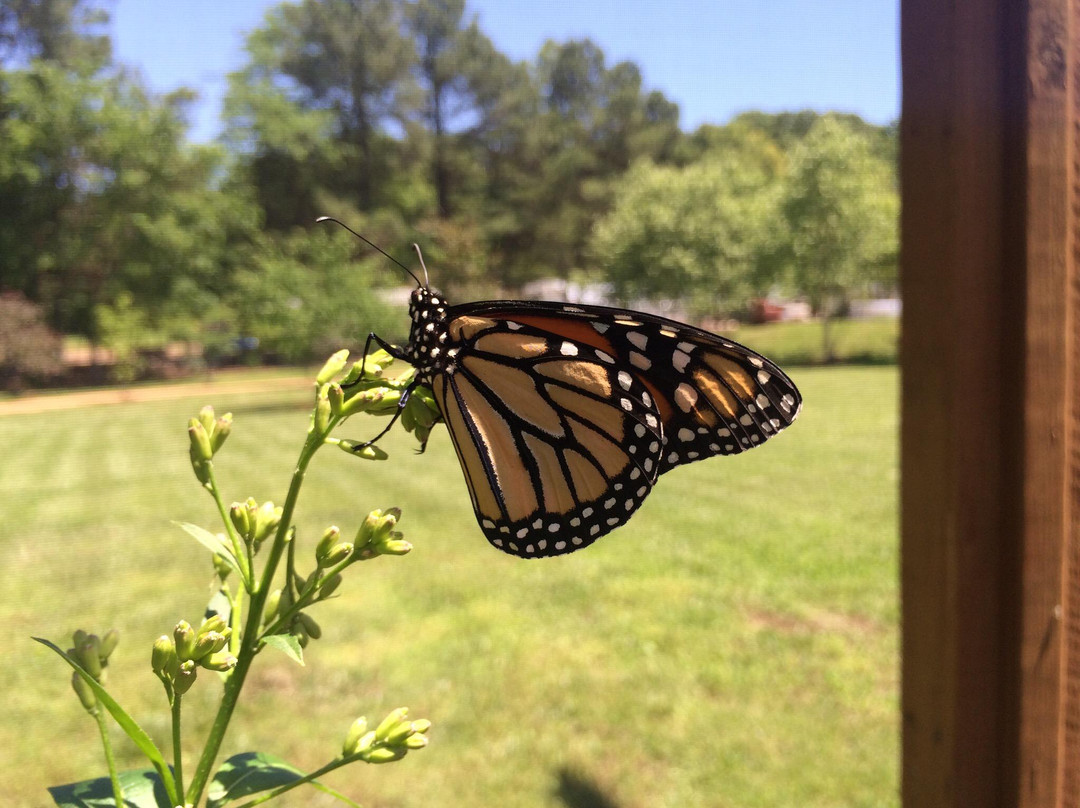 Botanical Garden of the Ozarks-费耶特维尔必去景点