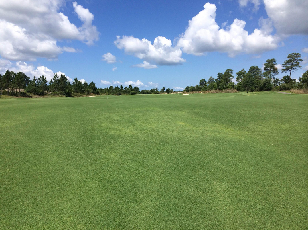 Windswept Dunes Golfcourse-Freeport必去景点