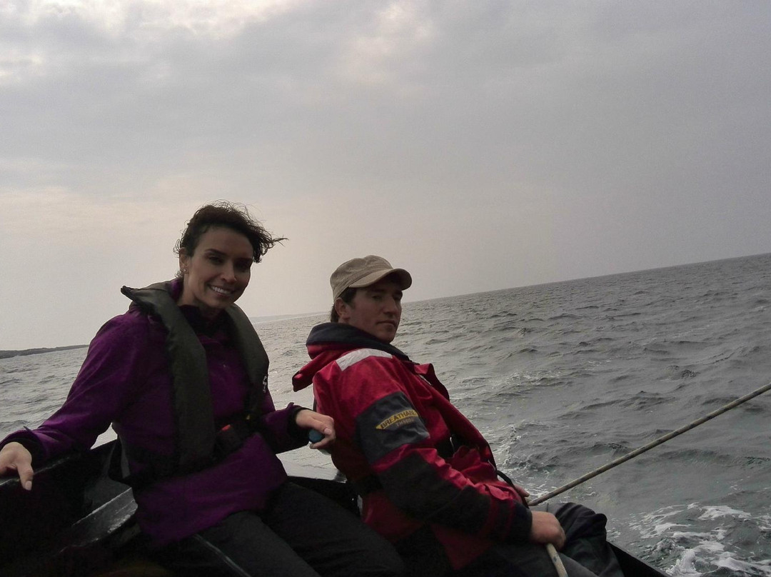 Wild Atlantic Adventures Ltd. - Day Tours景点图片