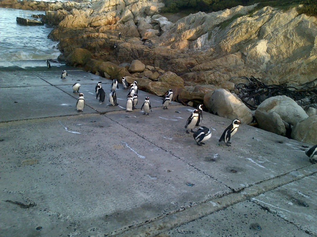 Route of Bays-高登湾必去景点