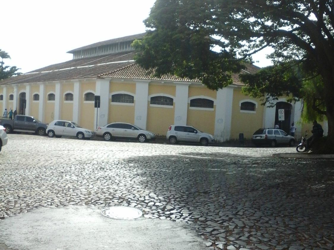 Mercado Municipal de Uberaba景点图片