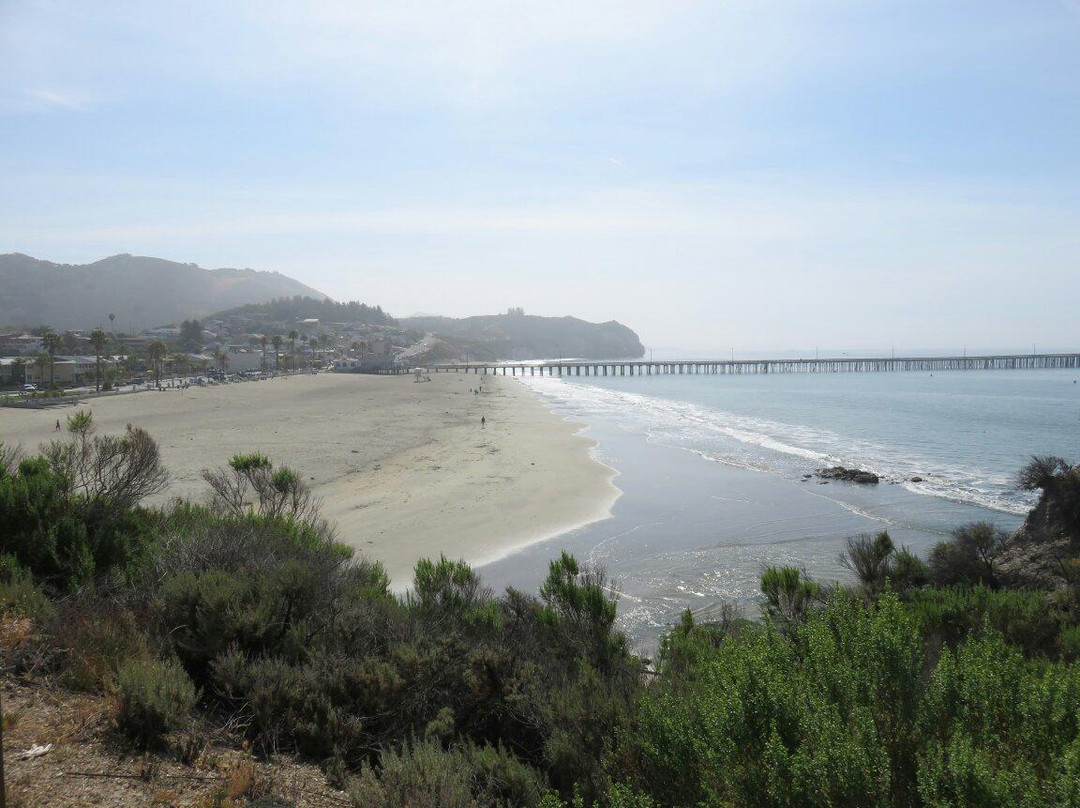 Bob Jones City to Sea Bike Trail-阿维拉海滩必去景点