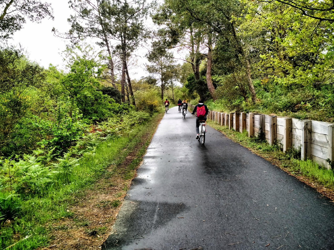 Cyclescapade-Labenne必去景点