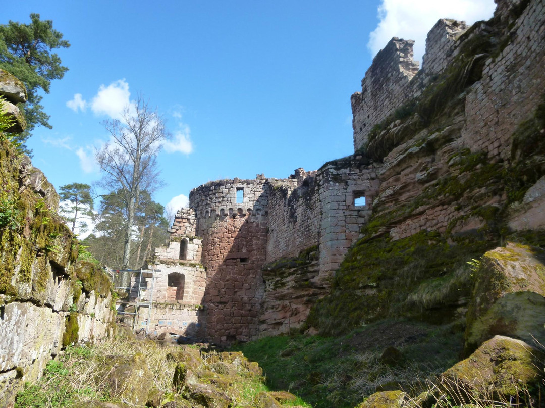 Obersteinbach旅游景点-Château du Schœneck
