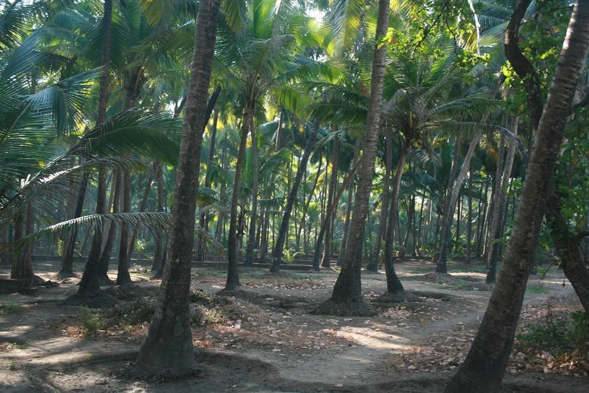 RamKamal Homestays主图