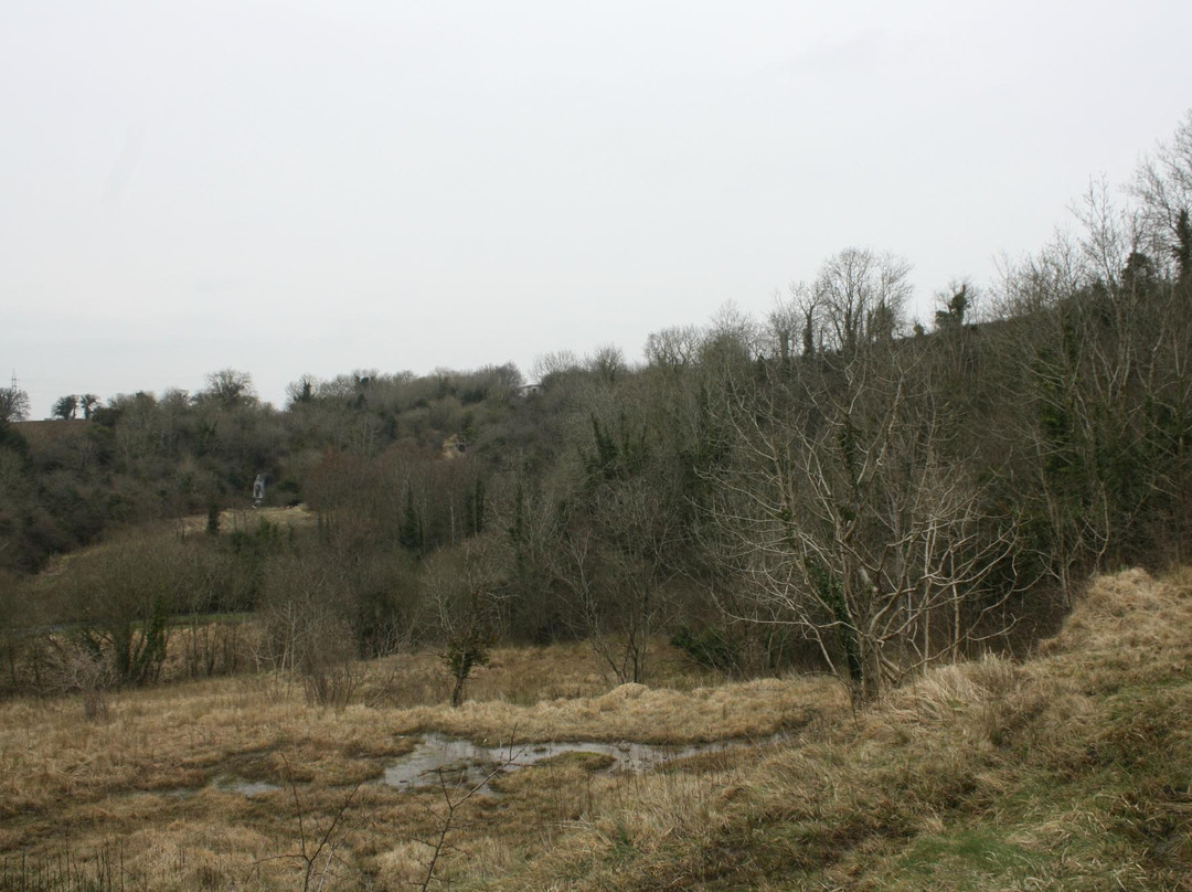 Leixlip Spa-Leixlip必去景点