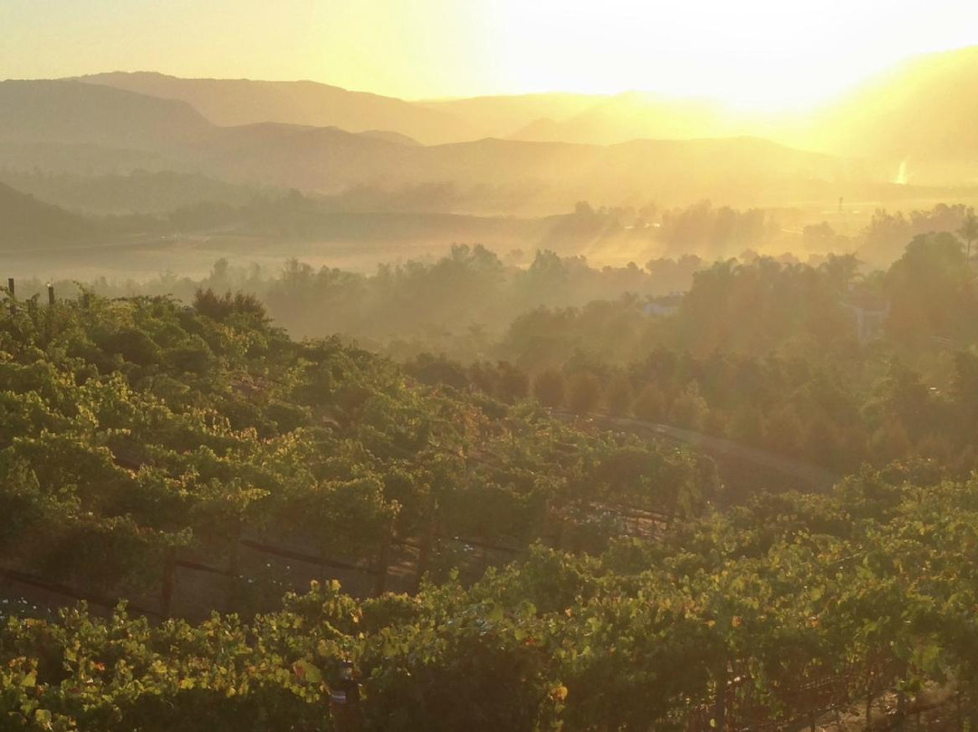 Hungry Hawk Vineyards & Winery景点图片