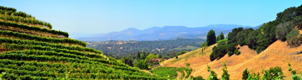 Porter Family Vineyards-纳帕必去景点