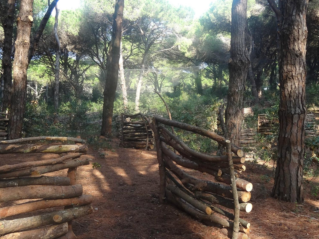 Spartan Paintball Ostia-Lido di Ostia必去景点