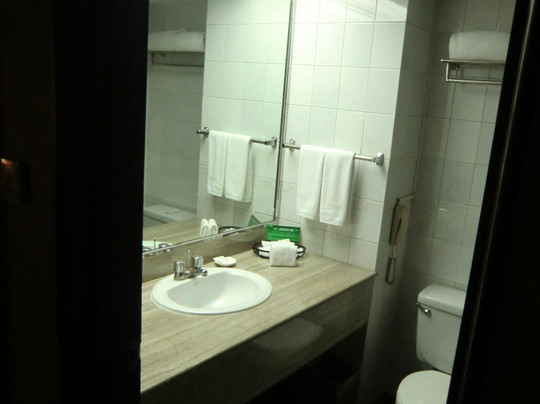 骊苑大酒店主图