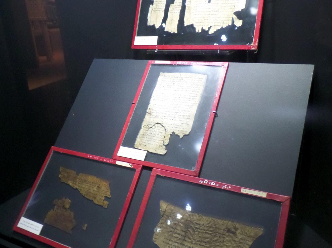 The Jordan Museum-安曼必去景点