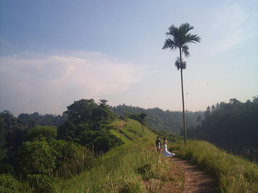 Dewa Tirta Bali Tours-库塔必去景点