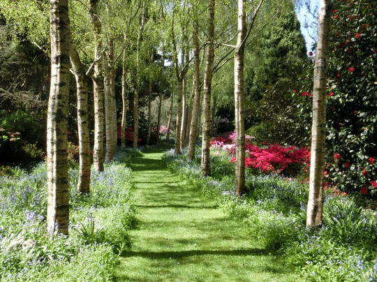 Allendale Gardens-Edith Creek必去景点