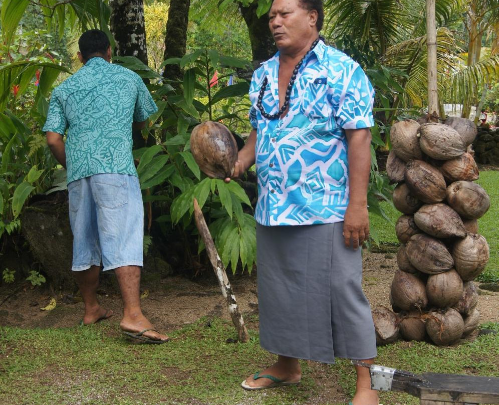 Oceania Travel and Tours Savaii Day Tours-阿皮亚必去景点