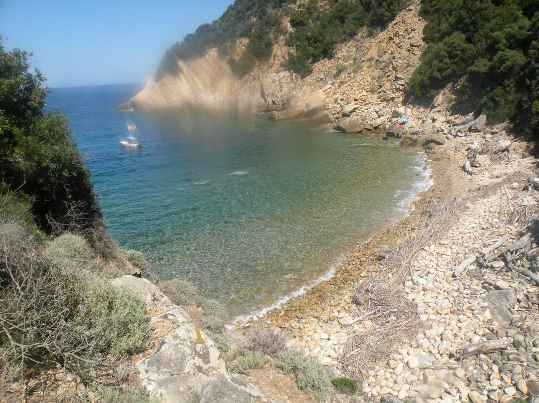 Spiaggia di Ripa Barata景点图片