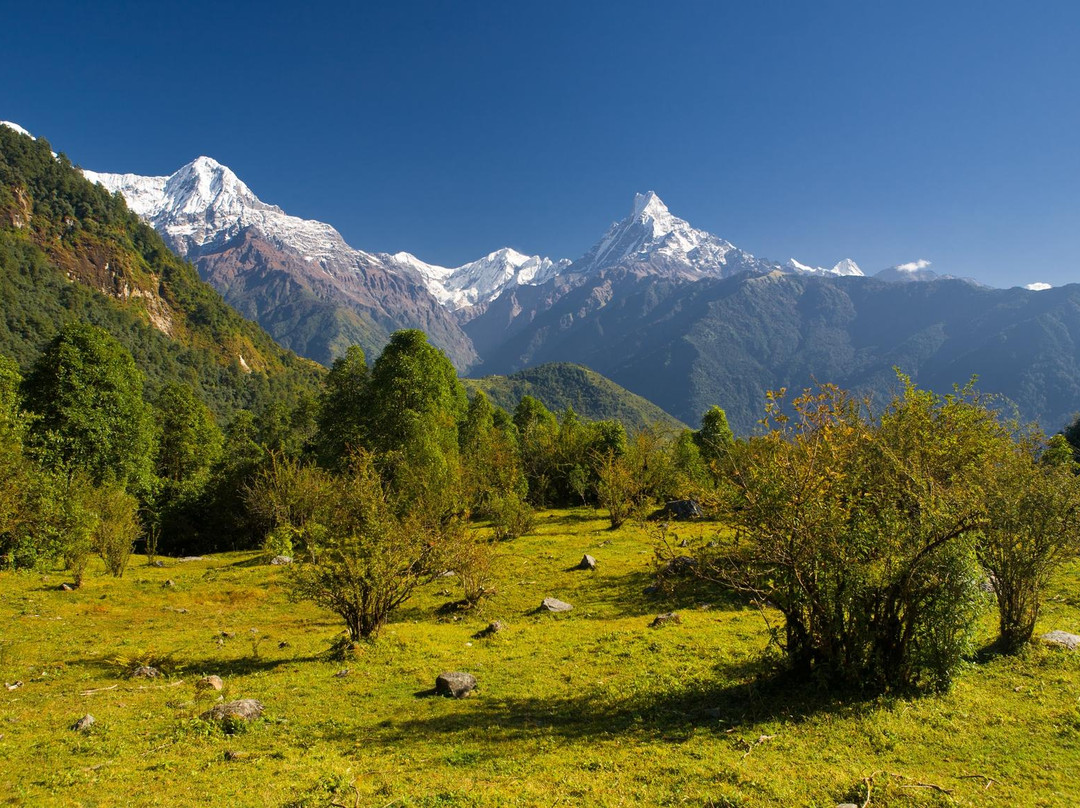 Guidea Treks & Expedition - Day Tours-加德满都必去景点