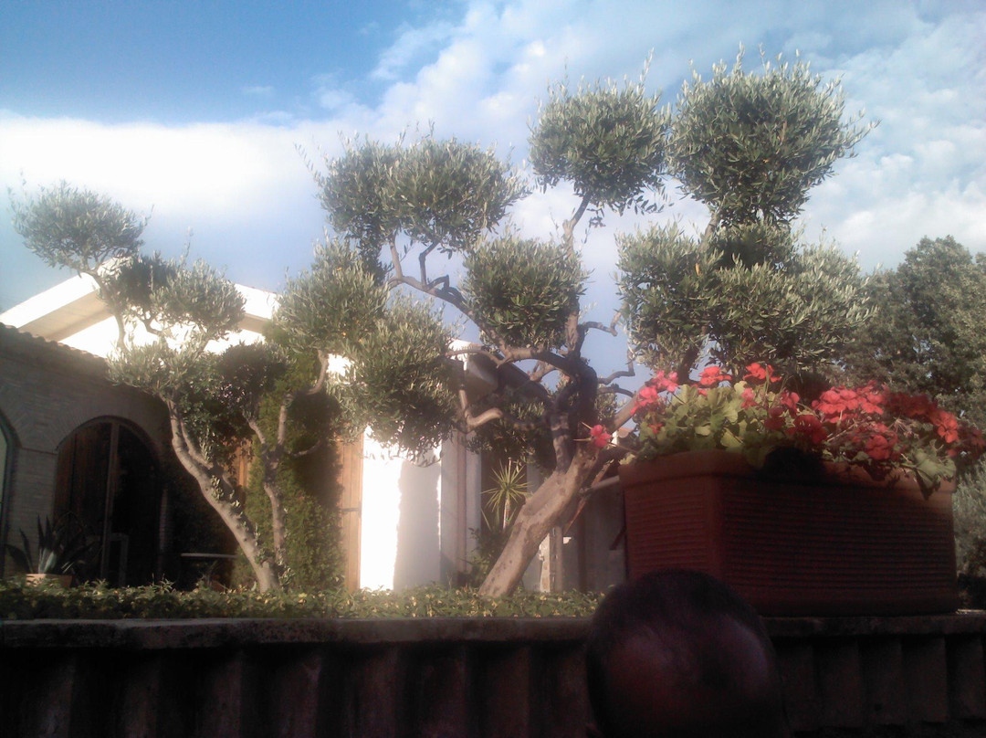 Agrialloggio La Bradia