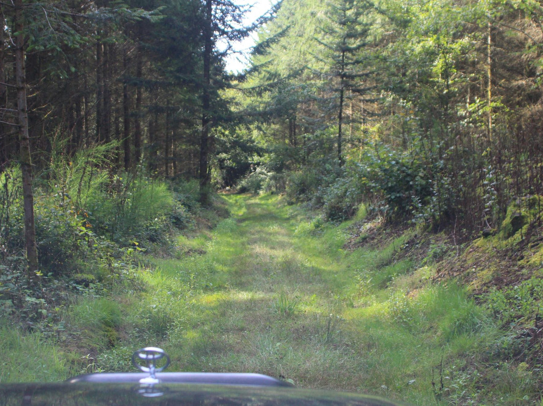 BCA 4x4-La Roche-en-Brenil必去景点