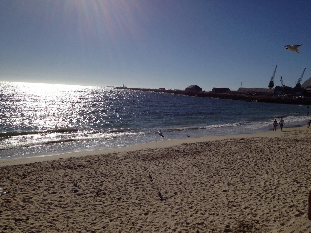 Port Beach-弗里曼特尔必去景点