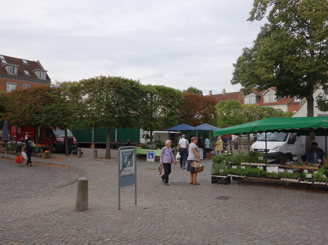 Sortebroedre Torv-欧登塞必去景点