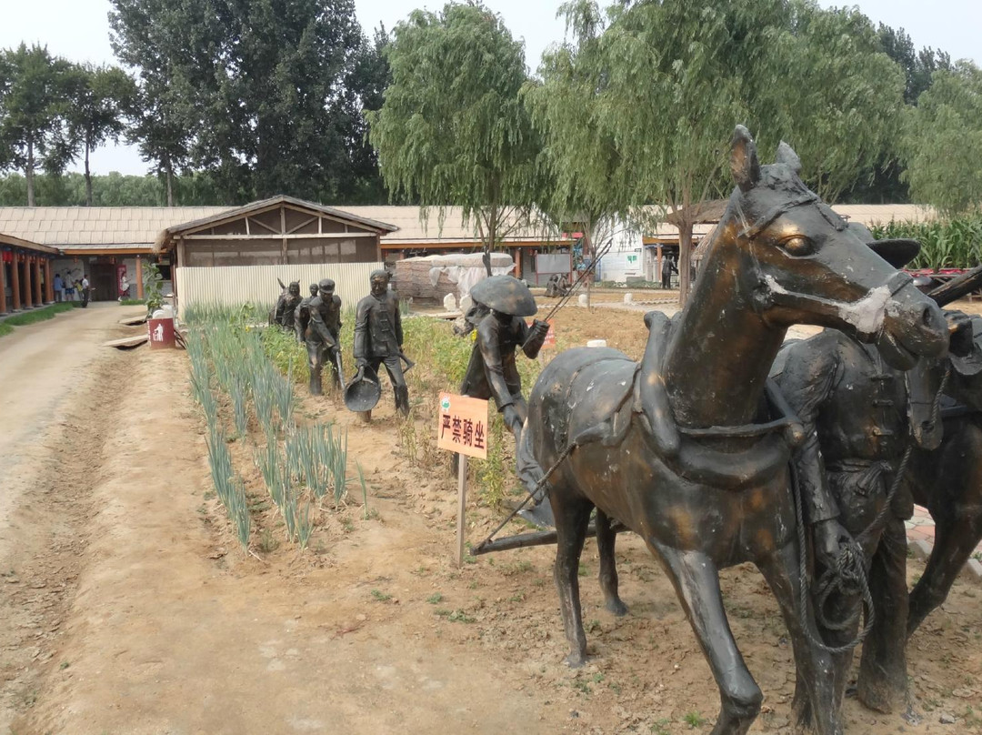 集发农业观光园-秦皇岛市必去景点