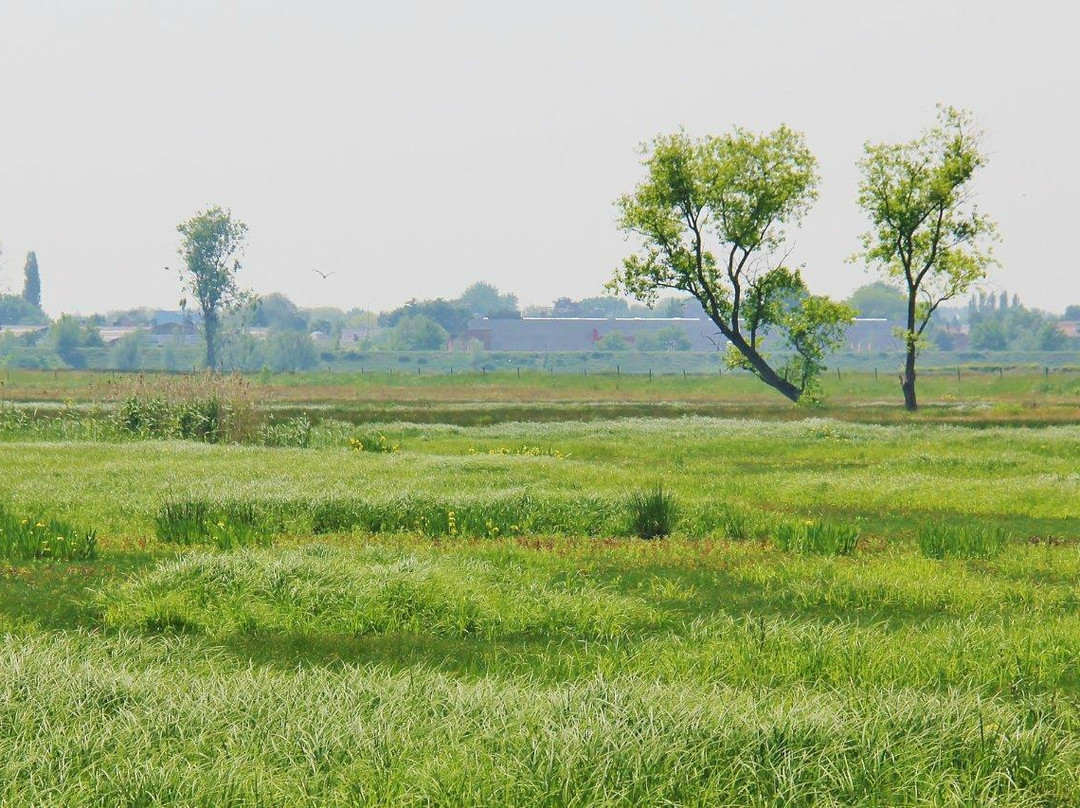 Bourgoyen-Ossemeersen Nature Reserve景点图片