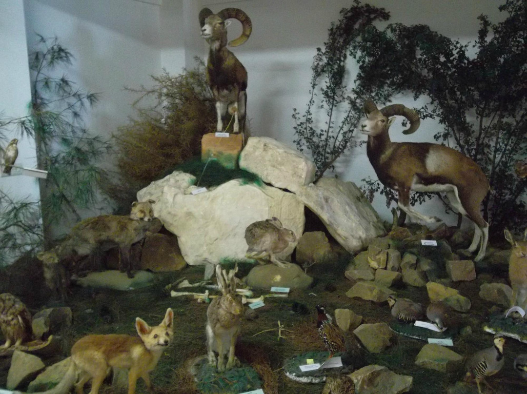 The Museum of Natural History-Pomos必去景点