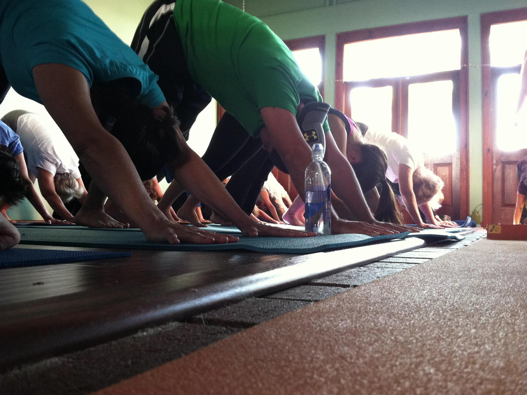 Yoga Elements景点图片