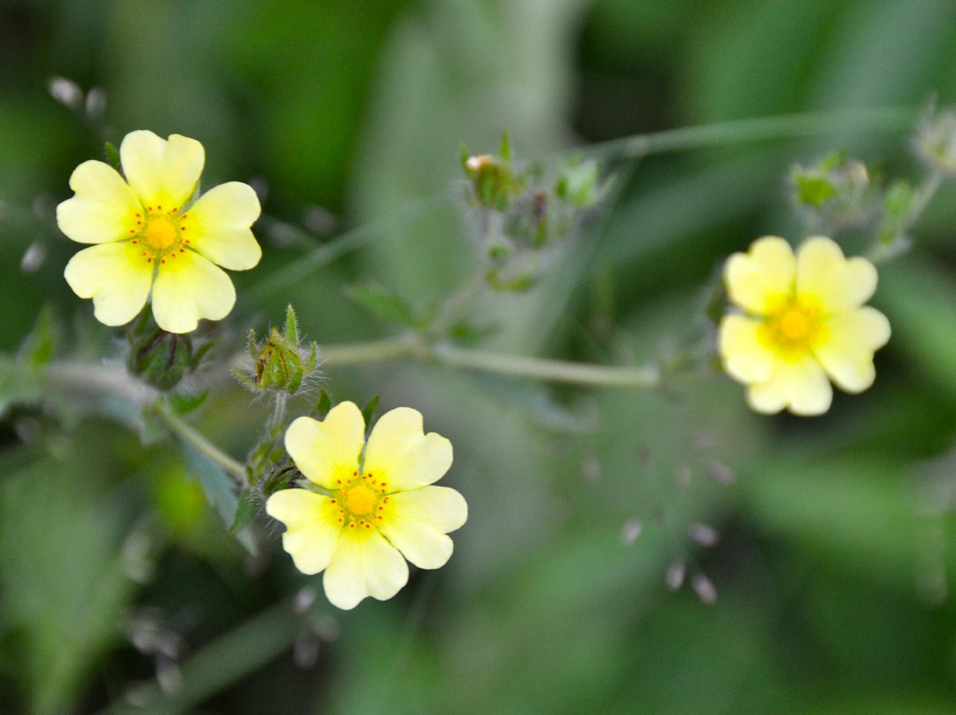 Rogers Reservoir Conservation Area-Newmarket必去景点