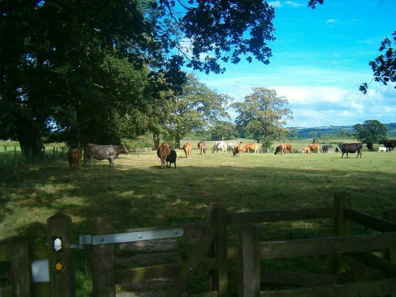 The Glen Guest House主图