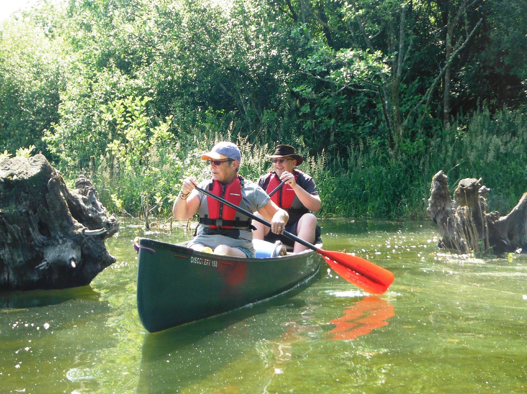 The Bideford Canoe Experience-Holsworthy必去景点