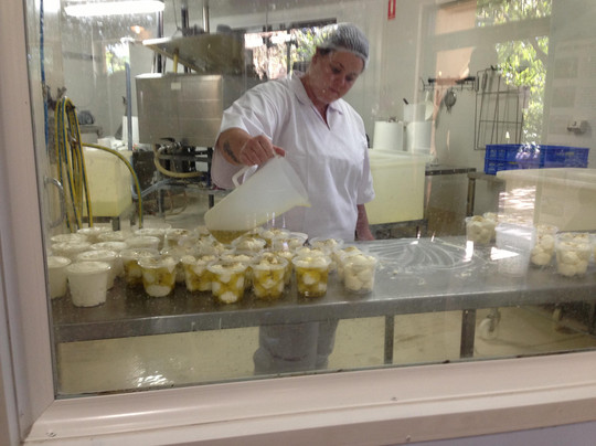 Hunter Belle Cheese-Muswellbrook必去景点