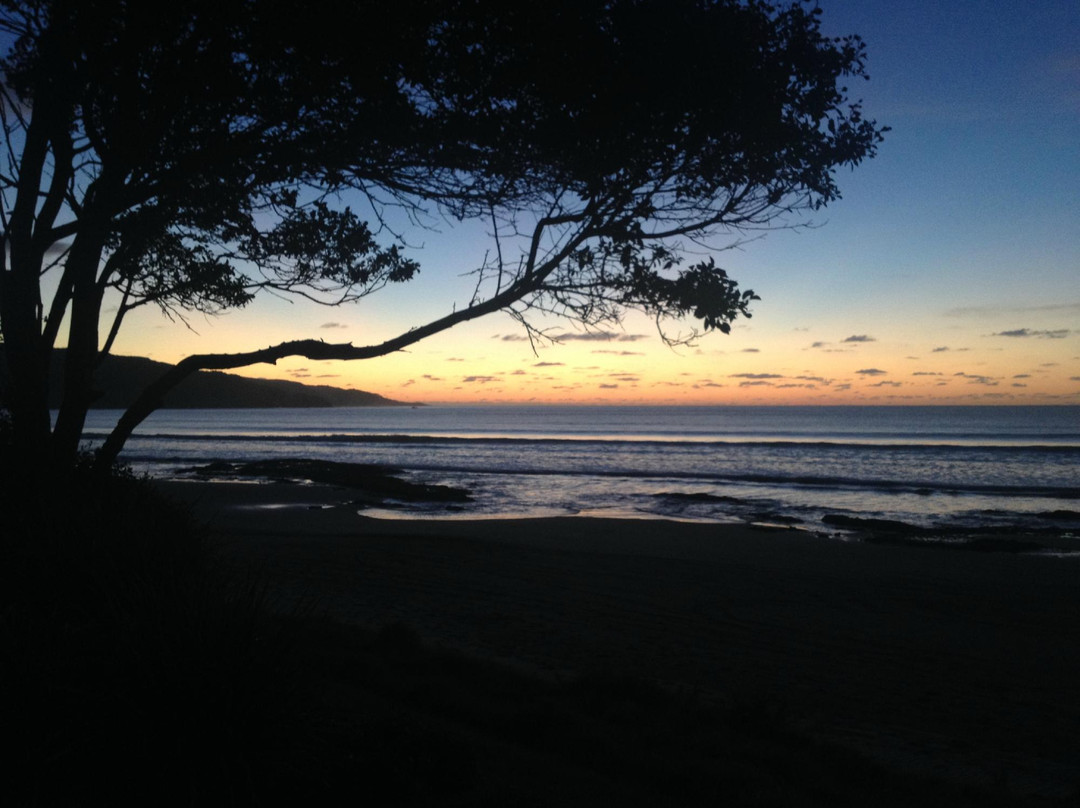 Ahipara Adventure Centre-Ahipara必去景点