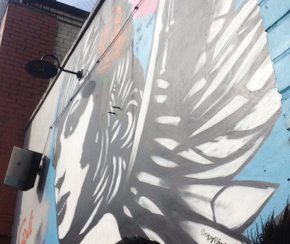 Alvinos-纽卡斯尔必去景点